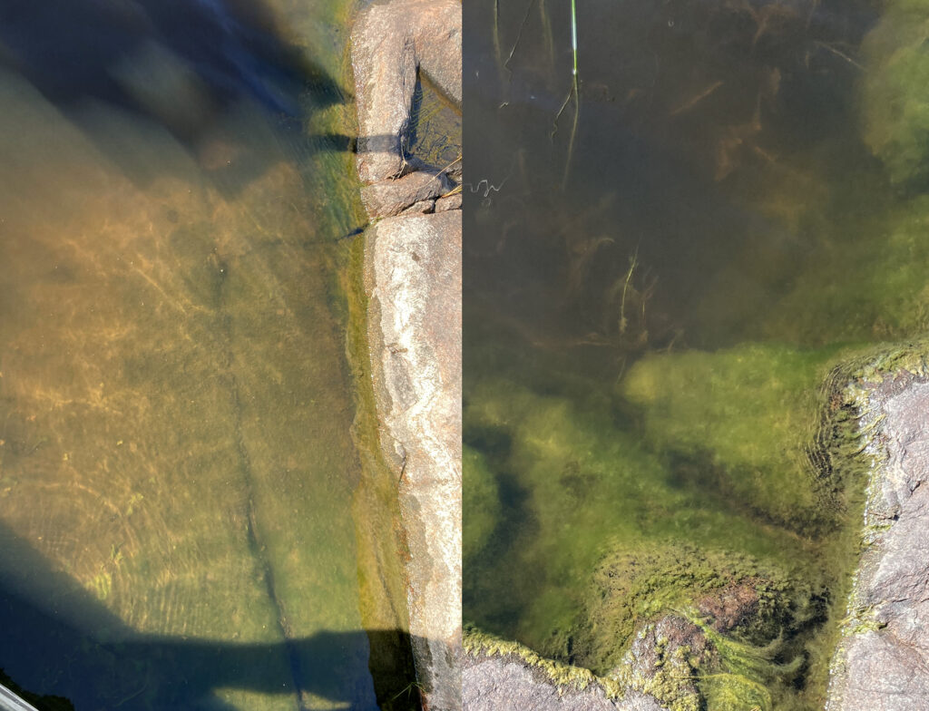 Rening av sjöbotten med lerbollar från Carex.